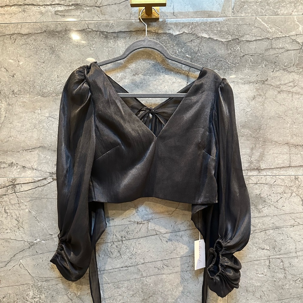 Open-back Organza Top